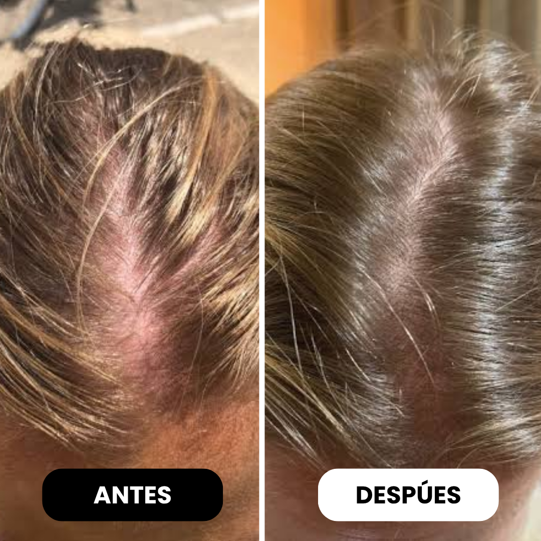 Polvo Capilar Rellenador Hairgo