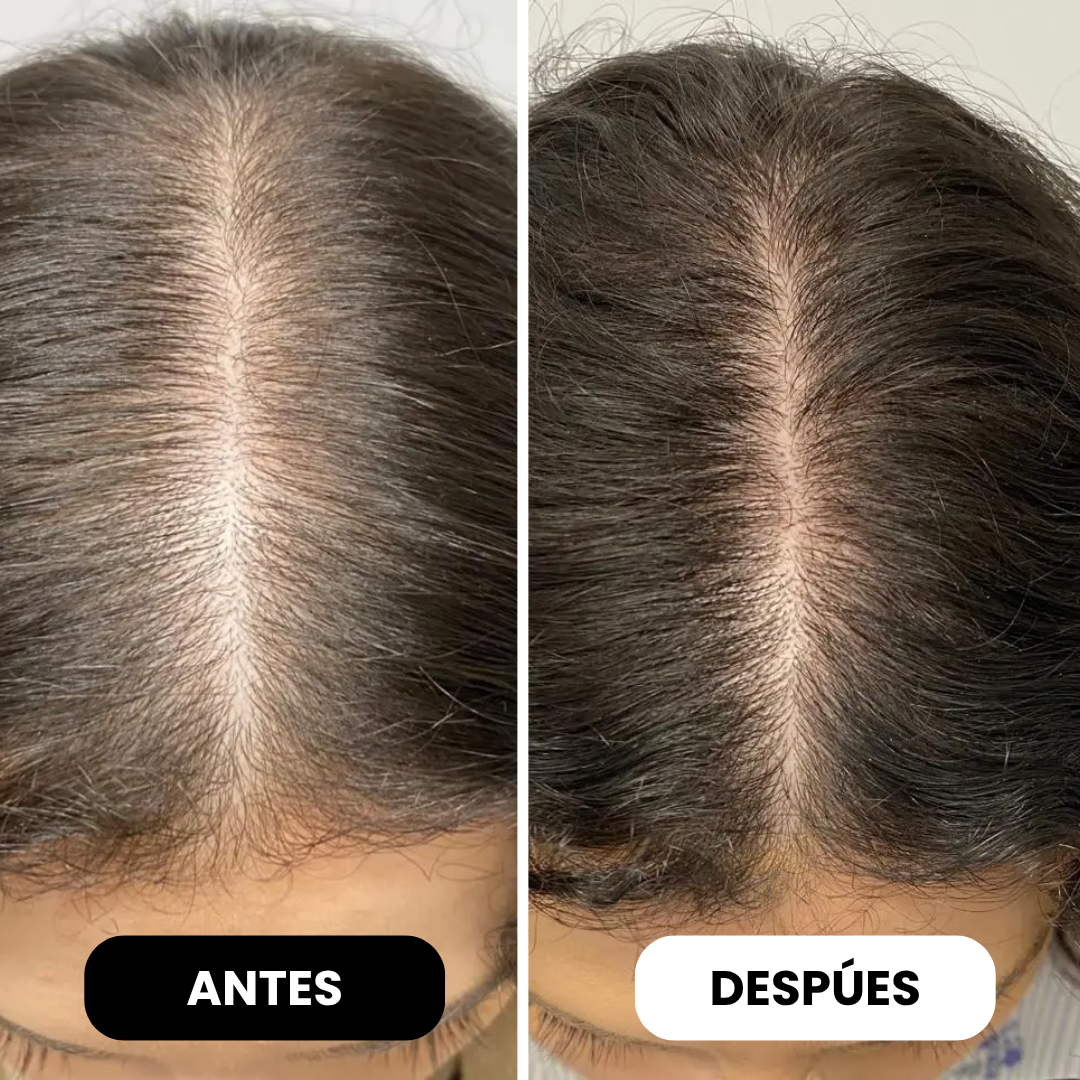 Polvo Capilar Rellenador Hairgo